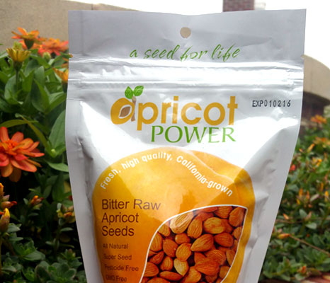 Apricot Kernels